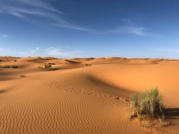 Quels sont les meilleurs conseils pour camper dans le désert du Sahara?